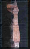 perfil de la entrada de Petra